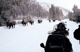 Travelers Snowmobile Rentals Guided Snowmobiling #1
